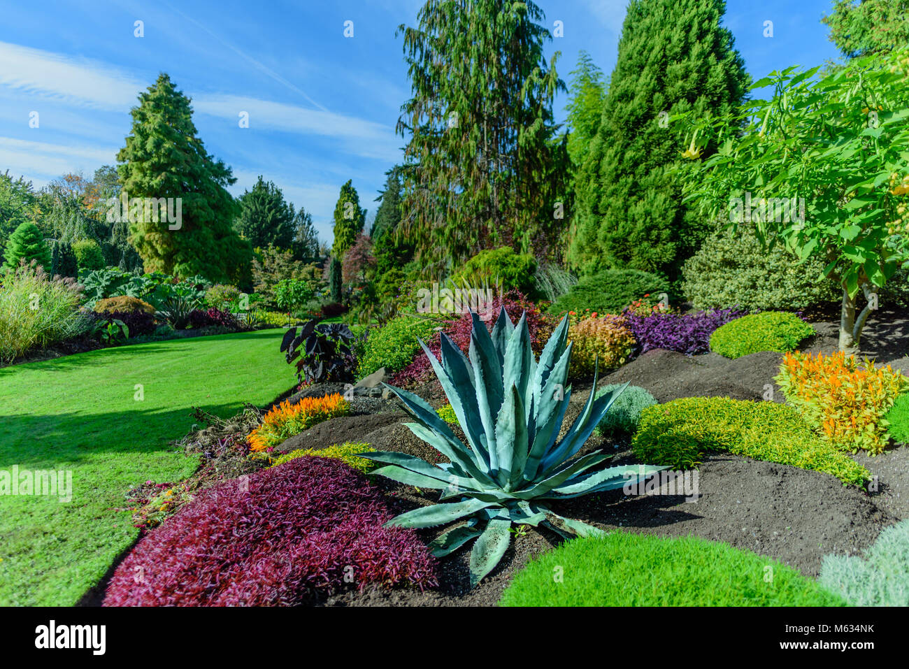 Cactus verde con ampie foglie e spine taglienti su uno sfondo multicolore di cespugli e prato con erba verde, alberi ed un cielo blu nel parco, su Foto Stock