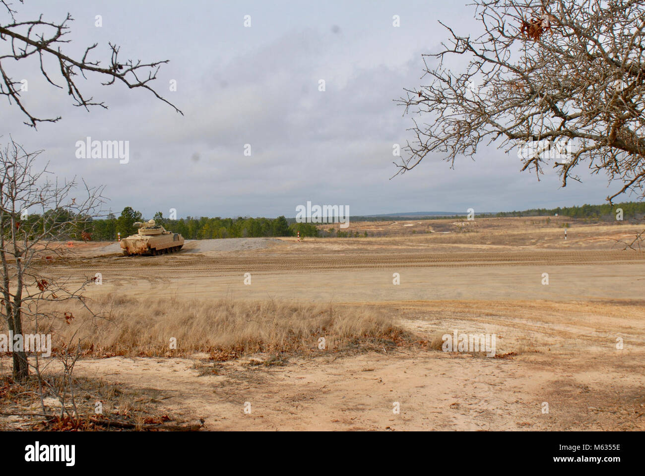 I soldati della Carolina del Nord la Guardia Nazionale, 1-252nd Armor reggimento trentesimo Armored Brigade Combat Team, condurre un combattimento simulato esercizio durante il combattimento Bradley veicolo della formazione a Fort Bragg, N.C., nel febbraio 10, 2018. (U.S. Esercito Foto Stock