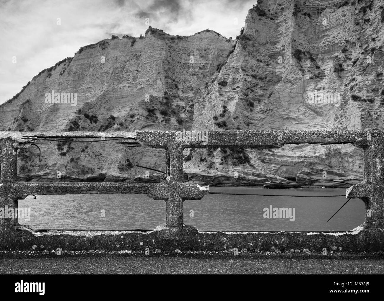 Nativo di Kiwi Tui Foto Stock