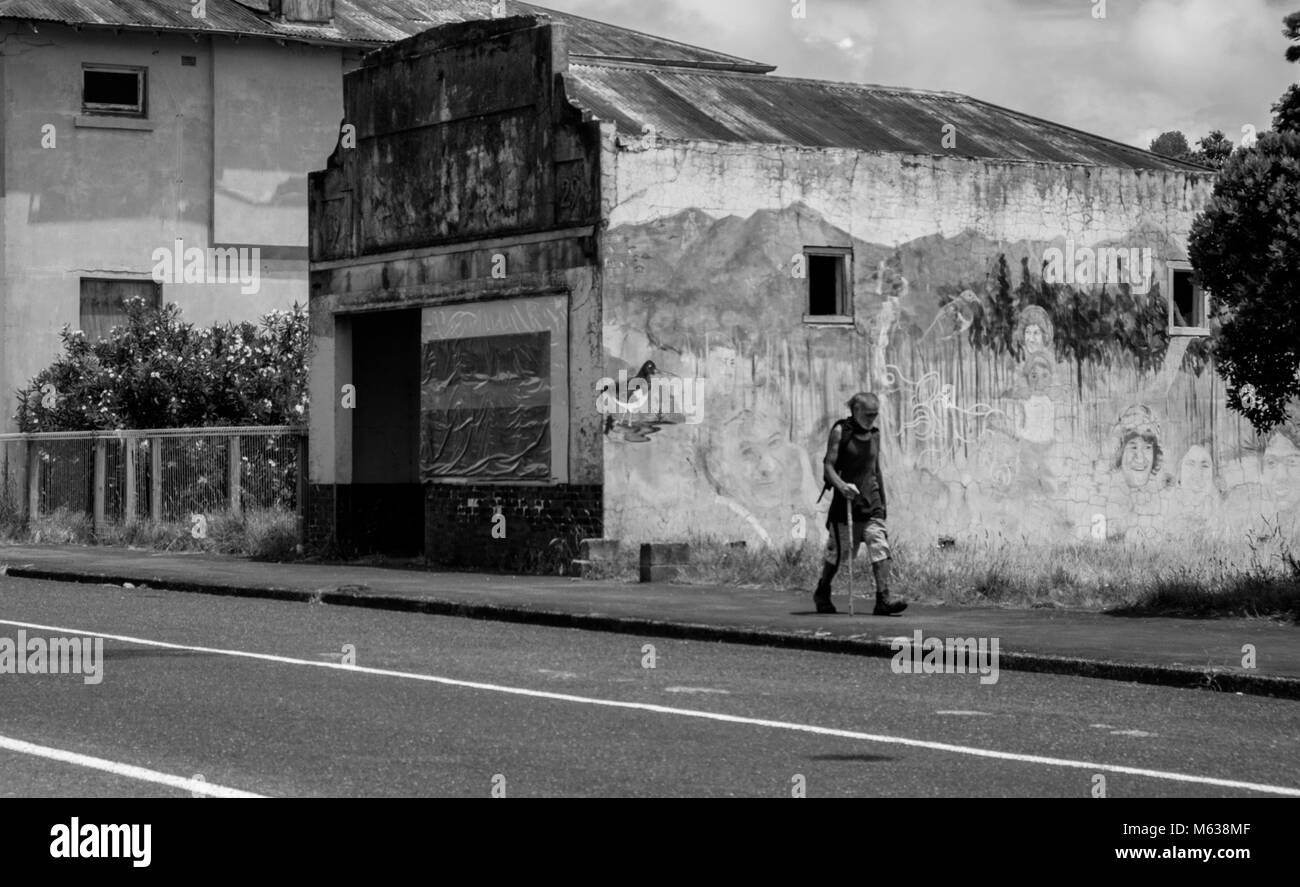 Nativo di Kiwi Tui Foto Stock