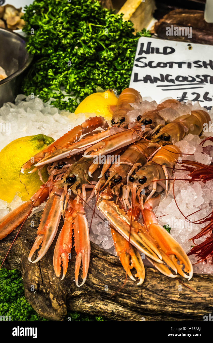 Scampi scozzese per la vendita sul mercato di Borough, London REGNO UNITO Foto Stock