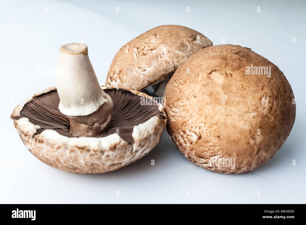 Tre grandi marrone di funghi champignon su sfondo bianco due fino con tappi uno capovolto Foto Stock