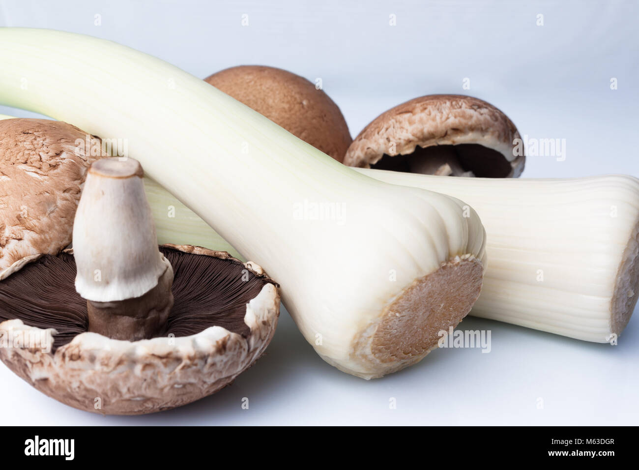 Il Porro e grandi funghi marrone su sfondo bianco Foto Stock