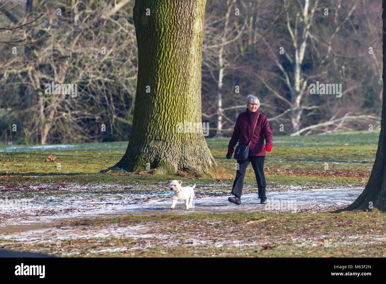 Northampton, Inghilterra. 28 Feb, 2108. Regno Unito: Meteo Temperature a -2 questa mattina con una leggera spolverata di neve per la gente a piedi i loro cani in Abington parco avvolto fino contro la terribilmente freddo brezza. Credito: Keith J Smith./Alamy Live News Foto Stock