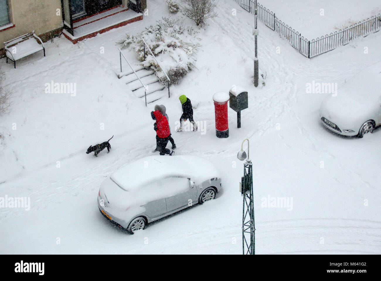 Glasgow, Scozia. 28 feb 2018.UK Meteo: dog walkers lottando nella neve La bestia da est meteo copre la città come la blizzard la neve copre tutti e un flash whiteout saluta le persone sul loro modo, visibilità. Credito: gerard ferry/Alamy Live News Foto Stock