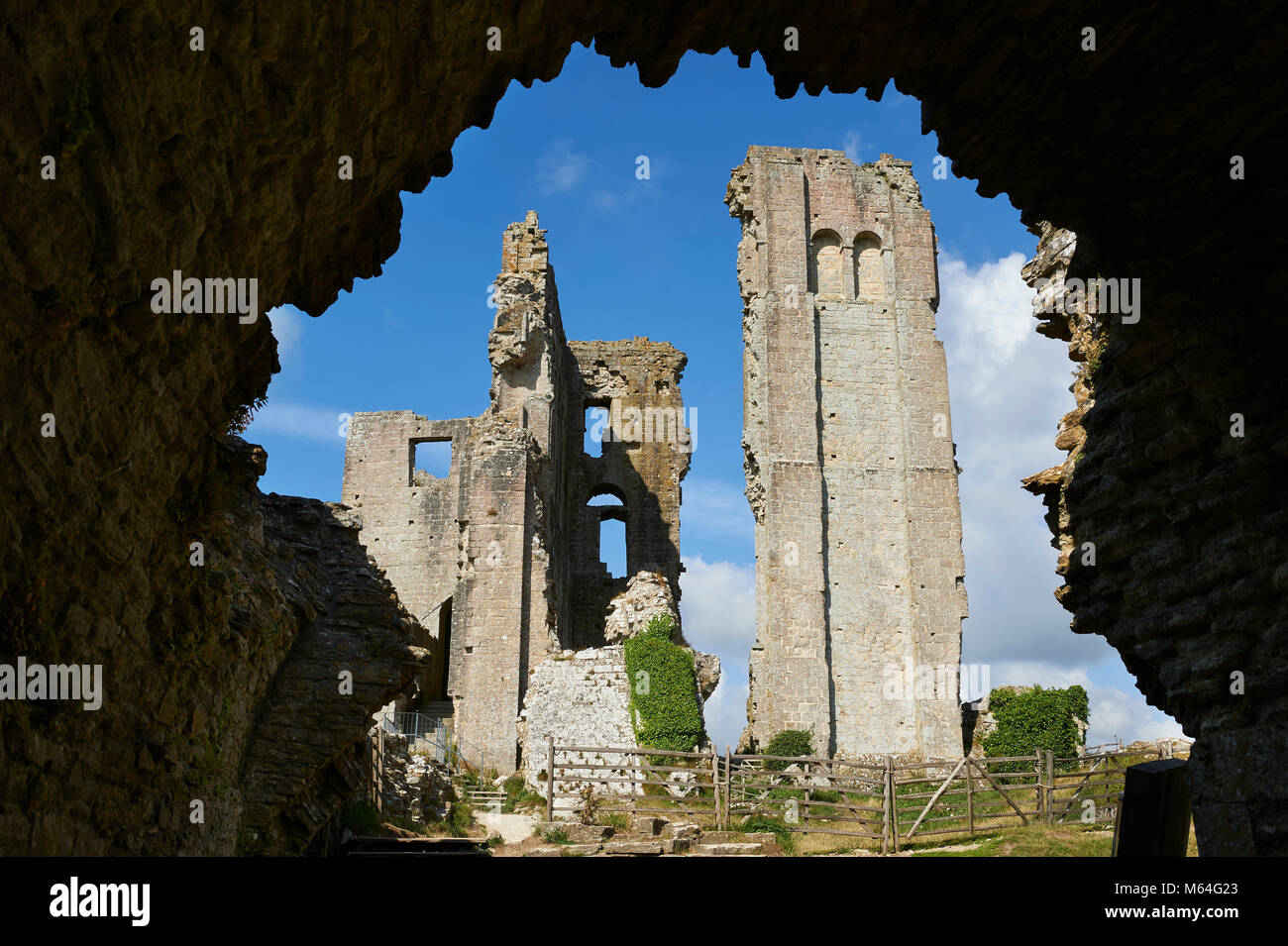 Medieval Corfe Castle mantenere cloase fino, costruito nel 1086 da Guglielmo il Conquistatore, Dorset Inghilterra Foto Stock