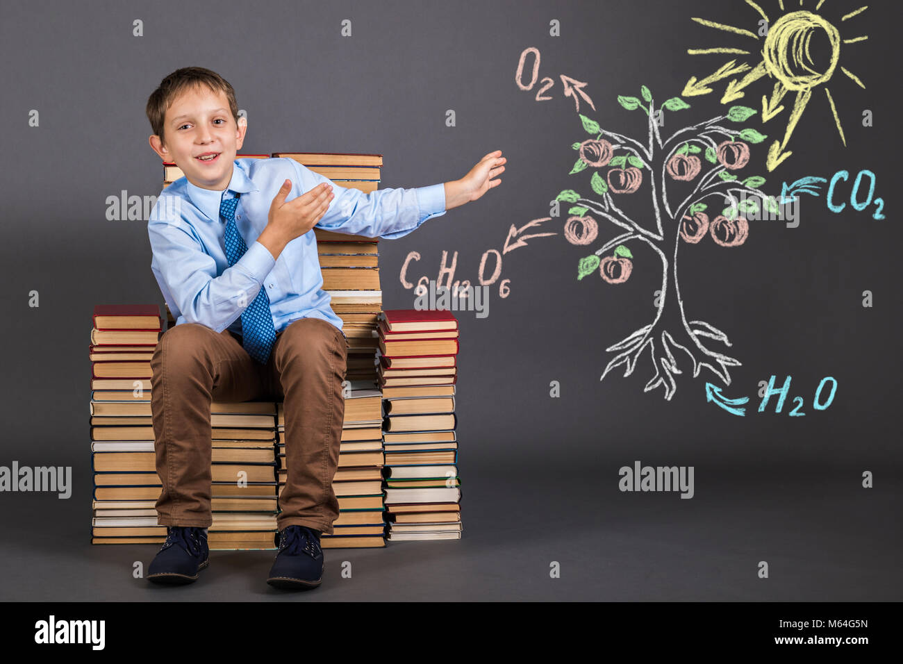 Ragazzo studente dimostra il principio della fotosintesi Foto Stock