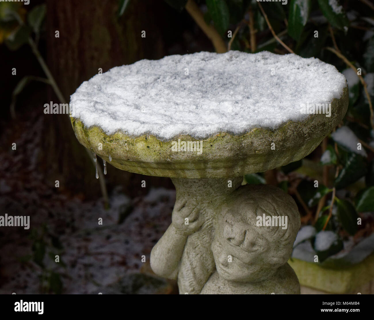Cherubino Bagno uccelli perfettamente coperte di neve Foto Stock
