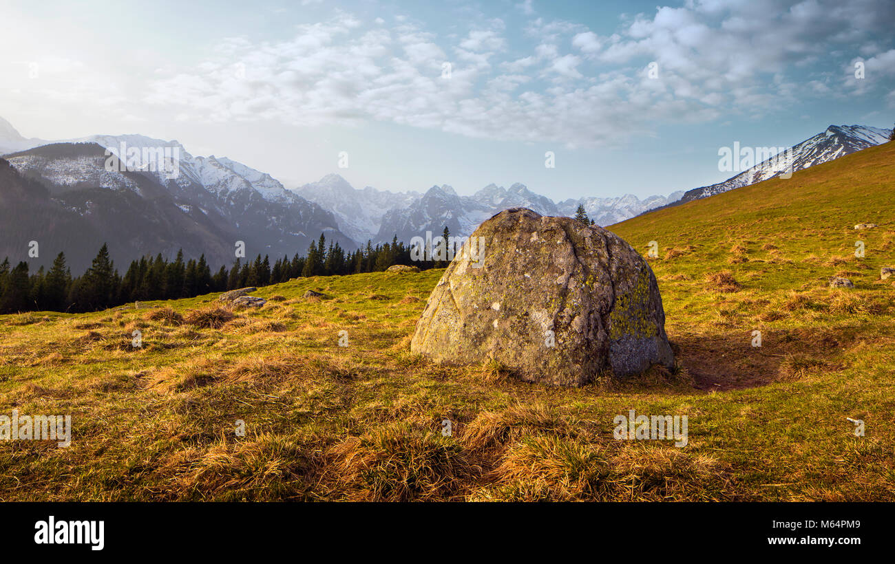 Rusinowa radura in Tatra polacchi Foto Stock