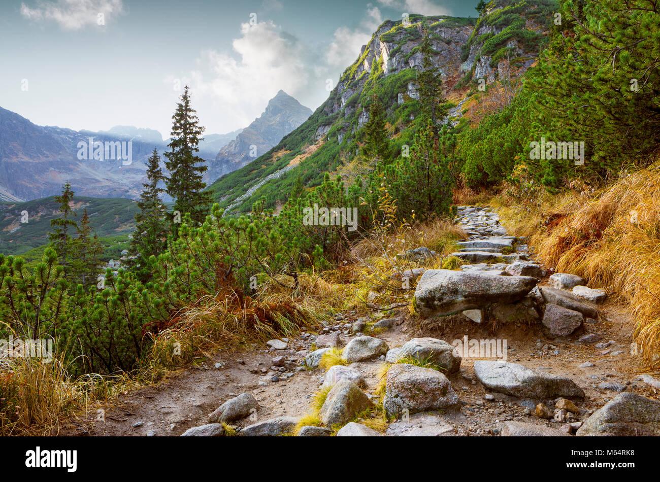 Sentiero escursionistico nel Parco nazionale dei Alti Tatra, Polonia Foto Stock