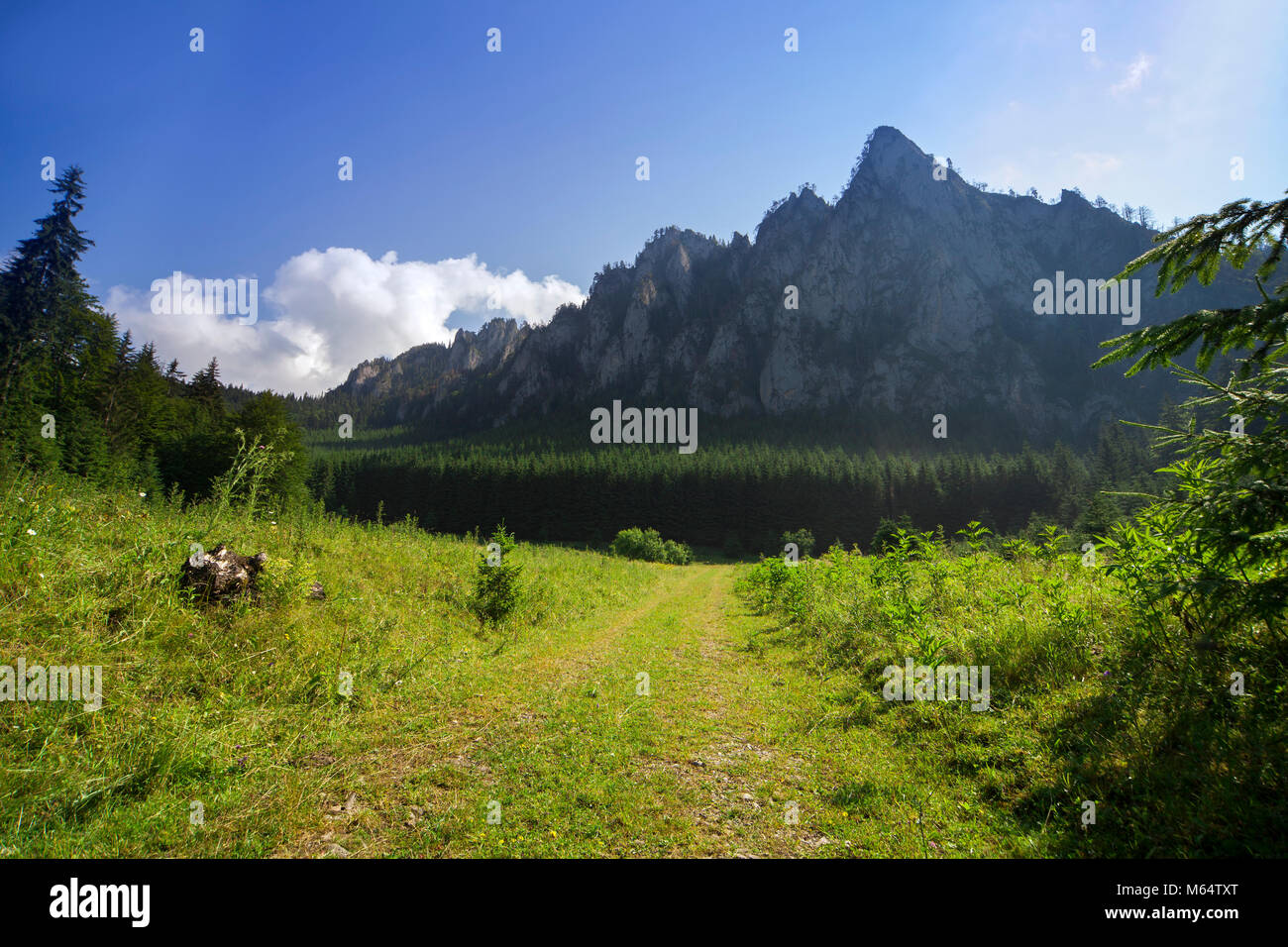 Paesaggio di montagna con parete di roccia e foresta verde. Carpazi romeni, Ceahlau Foto Stock