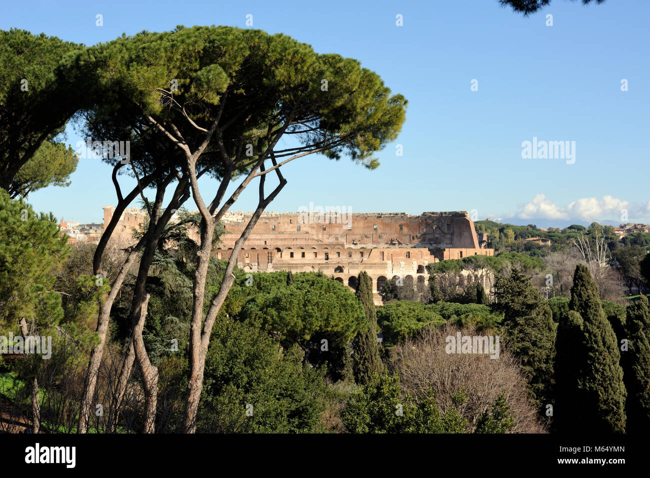 Italia, Roma Colosseo Foto Stock