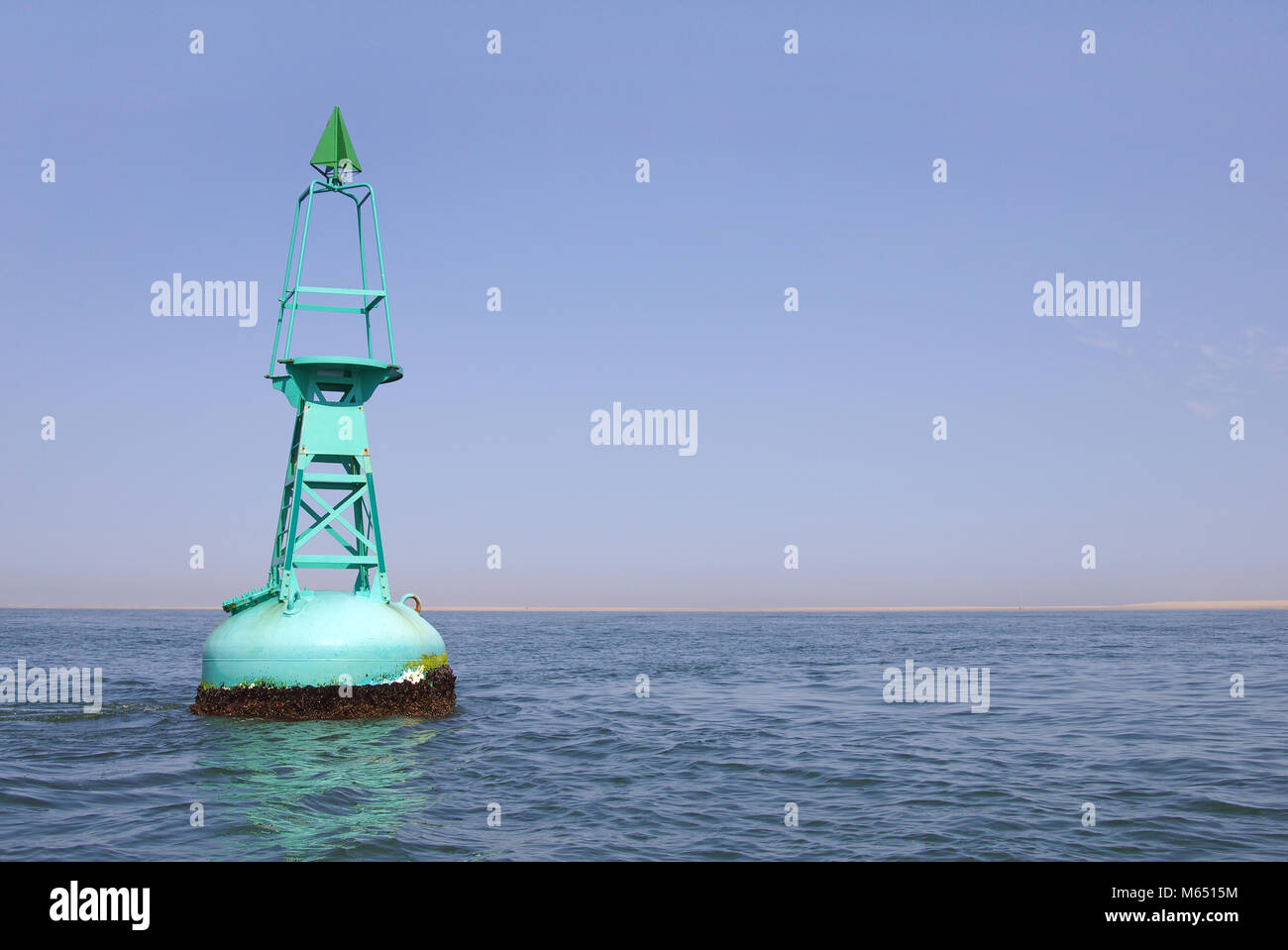 Verde metallizzato boa galleggiante sul mare Foto Stock