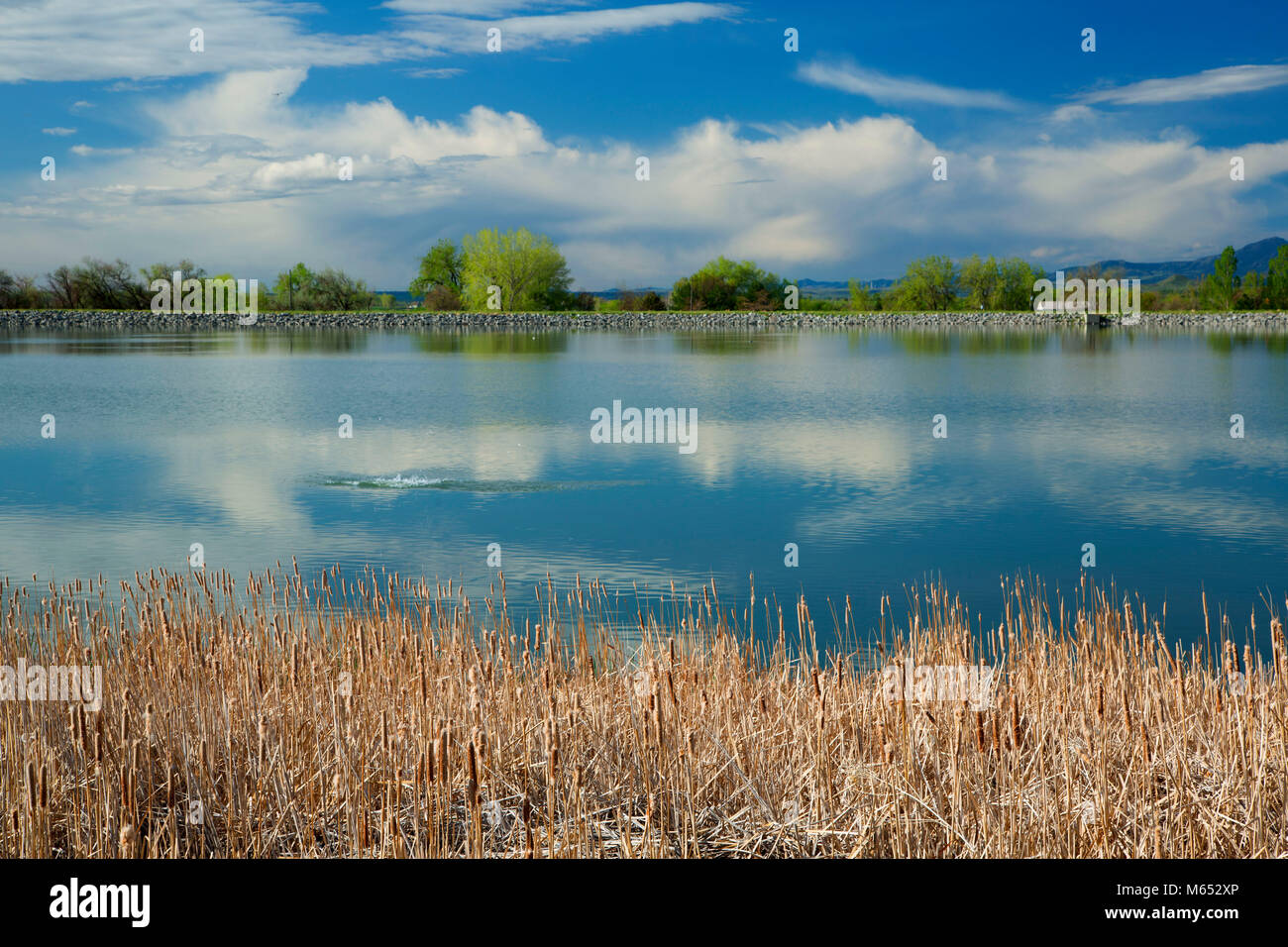McCall serbatoio, Longmont, Contea di Boulder, Colorado Foto Stock