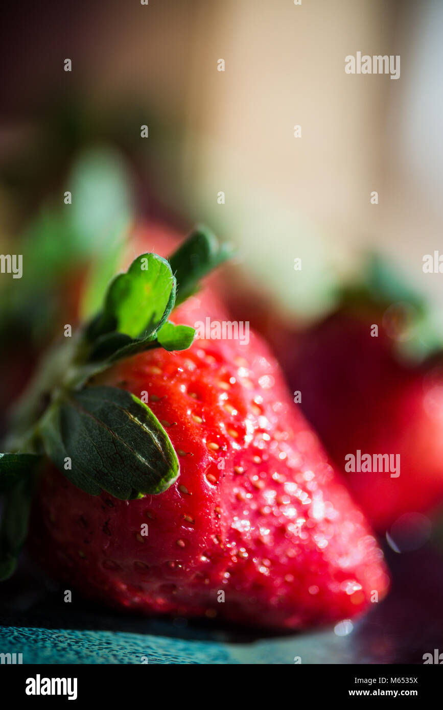 La vibrante vine ripe rosso fresco fragole. Messa a fuoco selettiva con spazio per il testo. Foto Stock