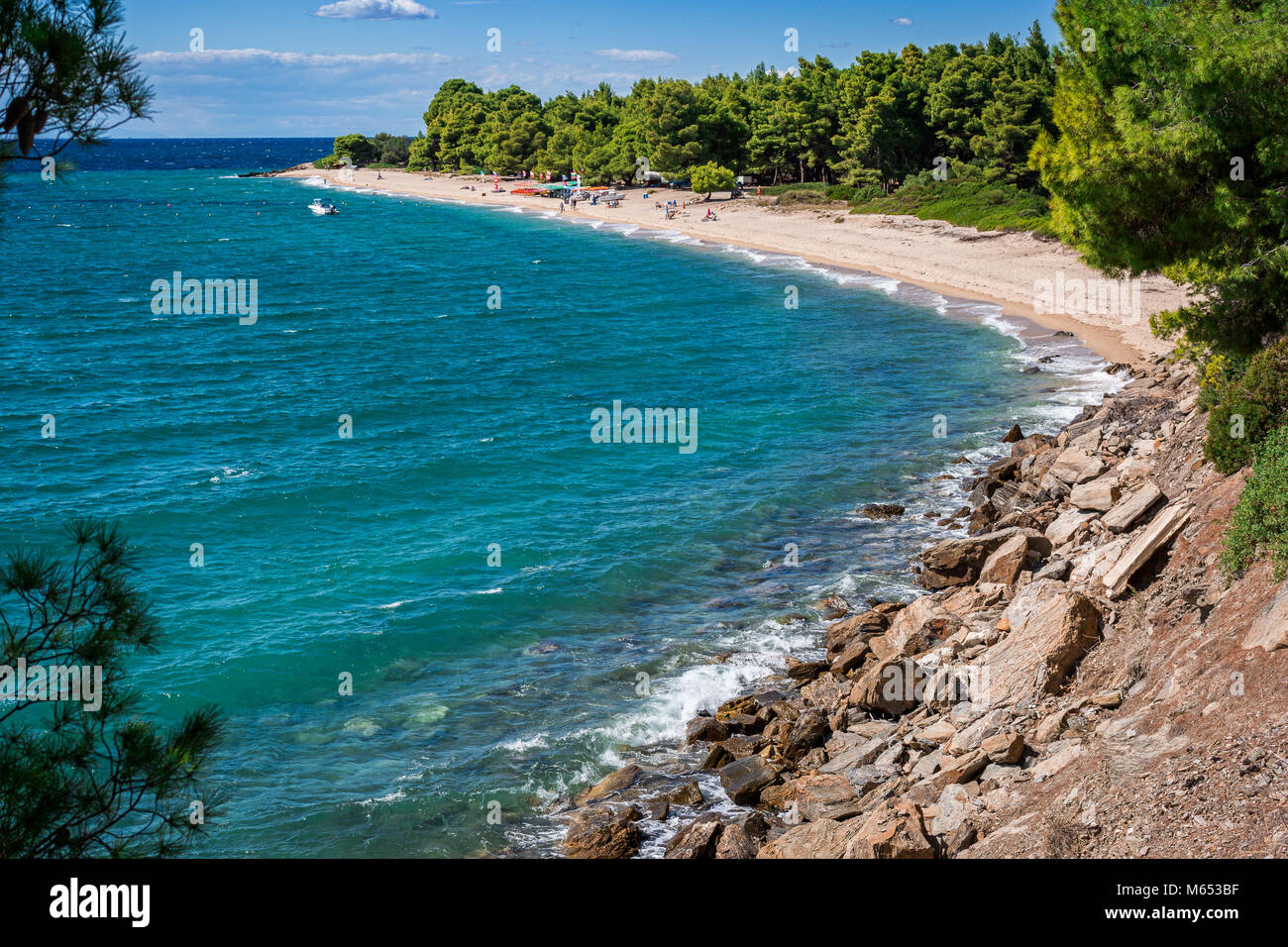 Uno splendido scenario seascape sulla penisola di Halkidiki, Grecia. Spiaggia di sabbia con verde di pini. Pura acqua turchese, brezza leggera, onde. Vacanze in se Foto Stock