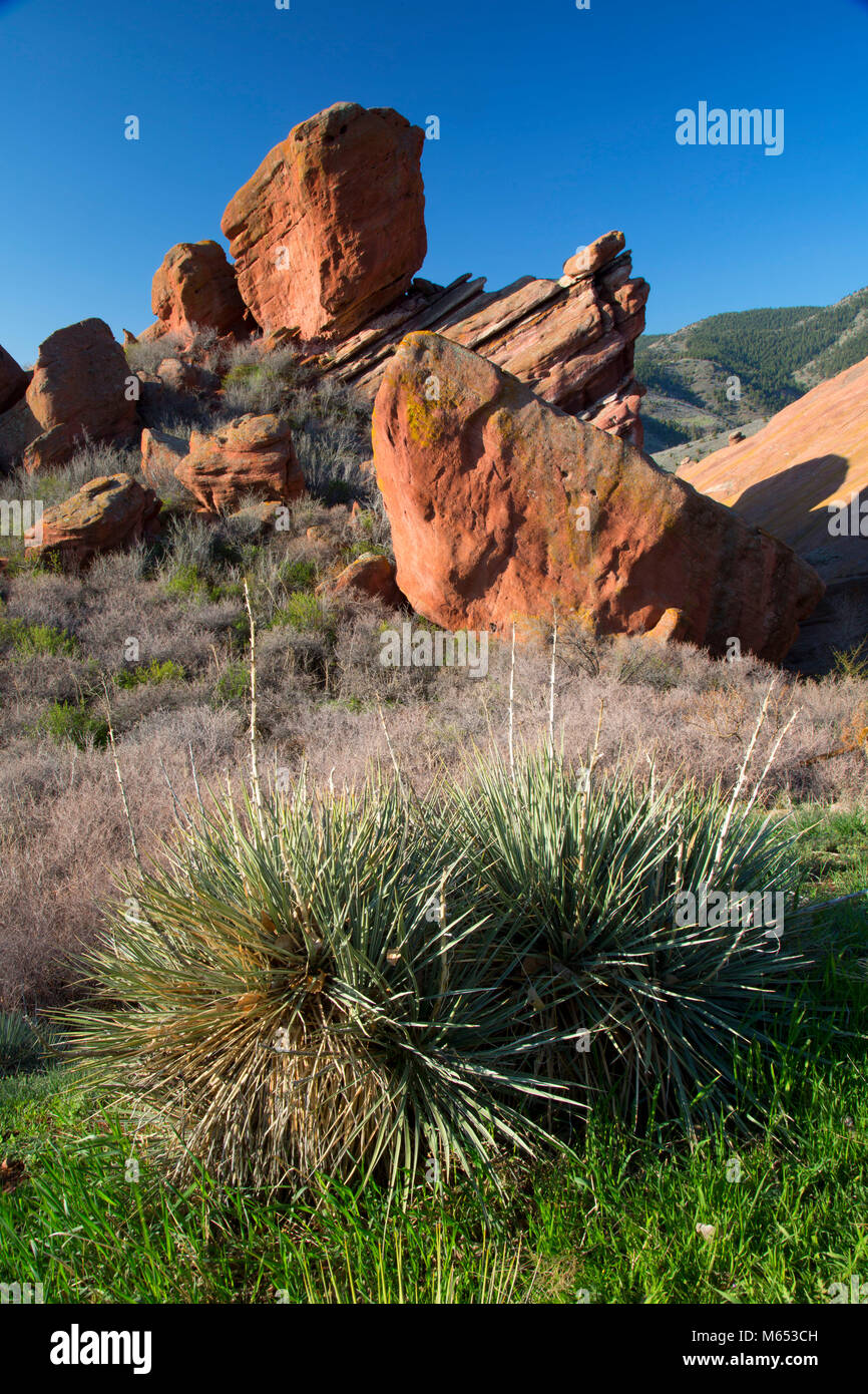 Red Rocks, Red Rocks Parco, Jefferson county, Colorado Foto Stock