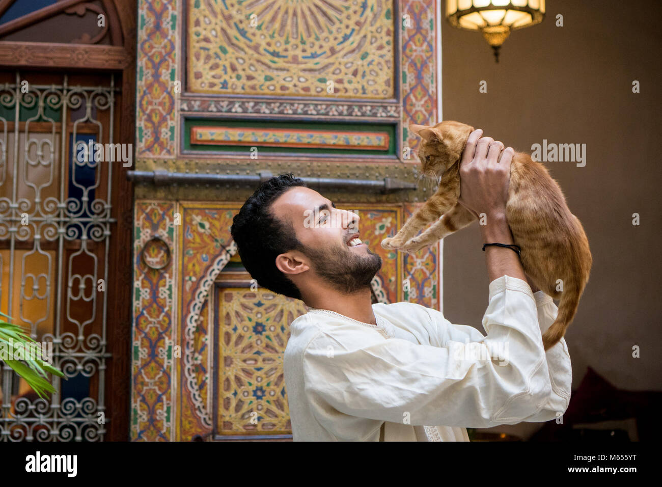 Giovani Musulmani uomo in abbigliamento tradizionale tenendo un gatto giallo in un tradizionale ambiente Marocchino davanti a una parete decorata Foto Stock