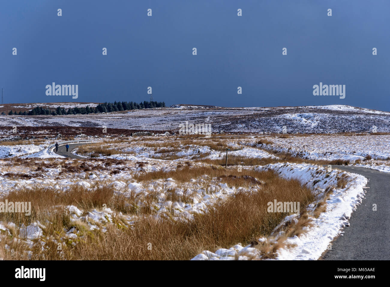 Neve giornata invernale snowscene. Winter Hill. Gli escursionisti scuotipaglia Foto Stock