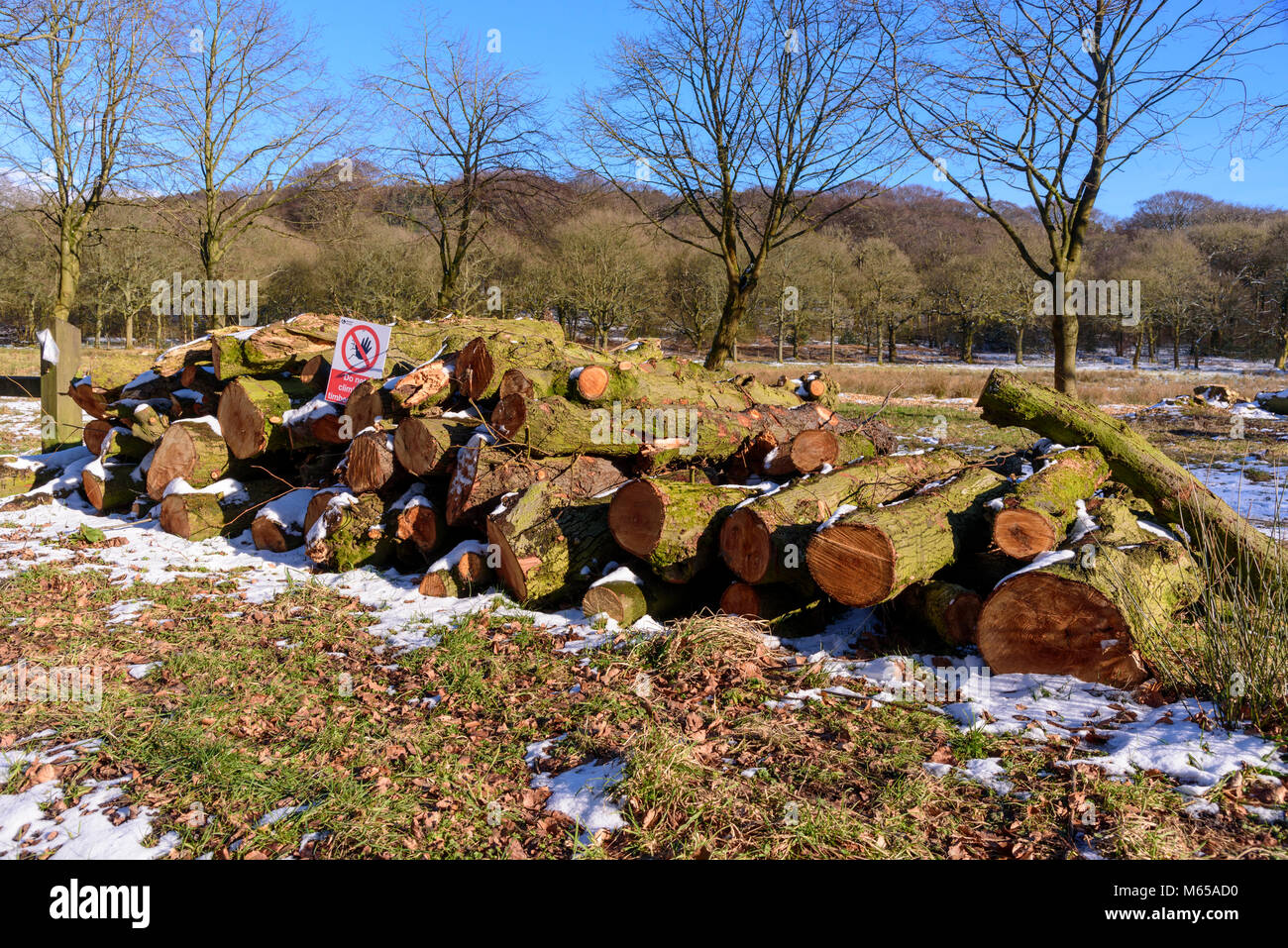 Neve giornata invernale snowscene. Winter Hill logpile pila dei registri Foto Stock