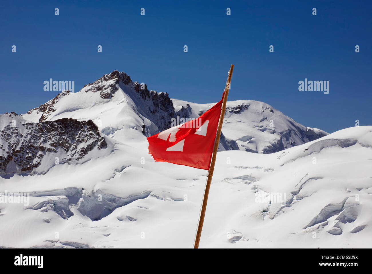 Il Gletscherhorn dal ghiacciaio Jungfraufirn, con lo svizzero della bandiera nazionale in primo piano, Alpi Bernesi, Svizzera Foto Stock