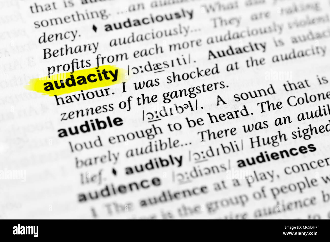 Sottolineato parola inglese "audacity' e la sua definizione nel dizionario. Foto Stock