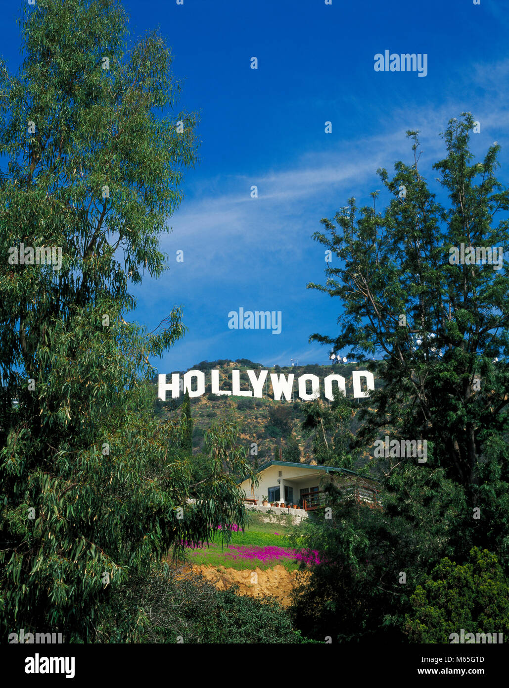 Hollywood Sign, Los Angeles, California, Stati Uniti d'America Foto Stock