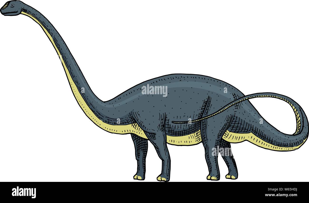 Dinosauro Brachiosaurus o sauropod, Plateosaurus, Diplodocus, Apatosaurus, scheletri, fossili, alato lizard. American rettili preistorici, Jurassic incisi animali disegnati a mano il vettore. Illustrazione Vettoriale