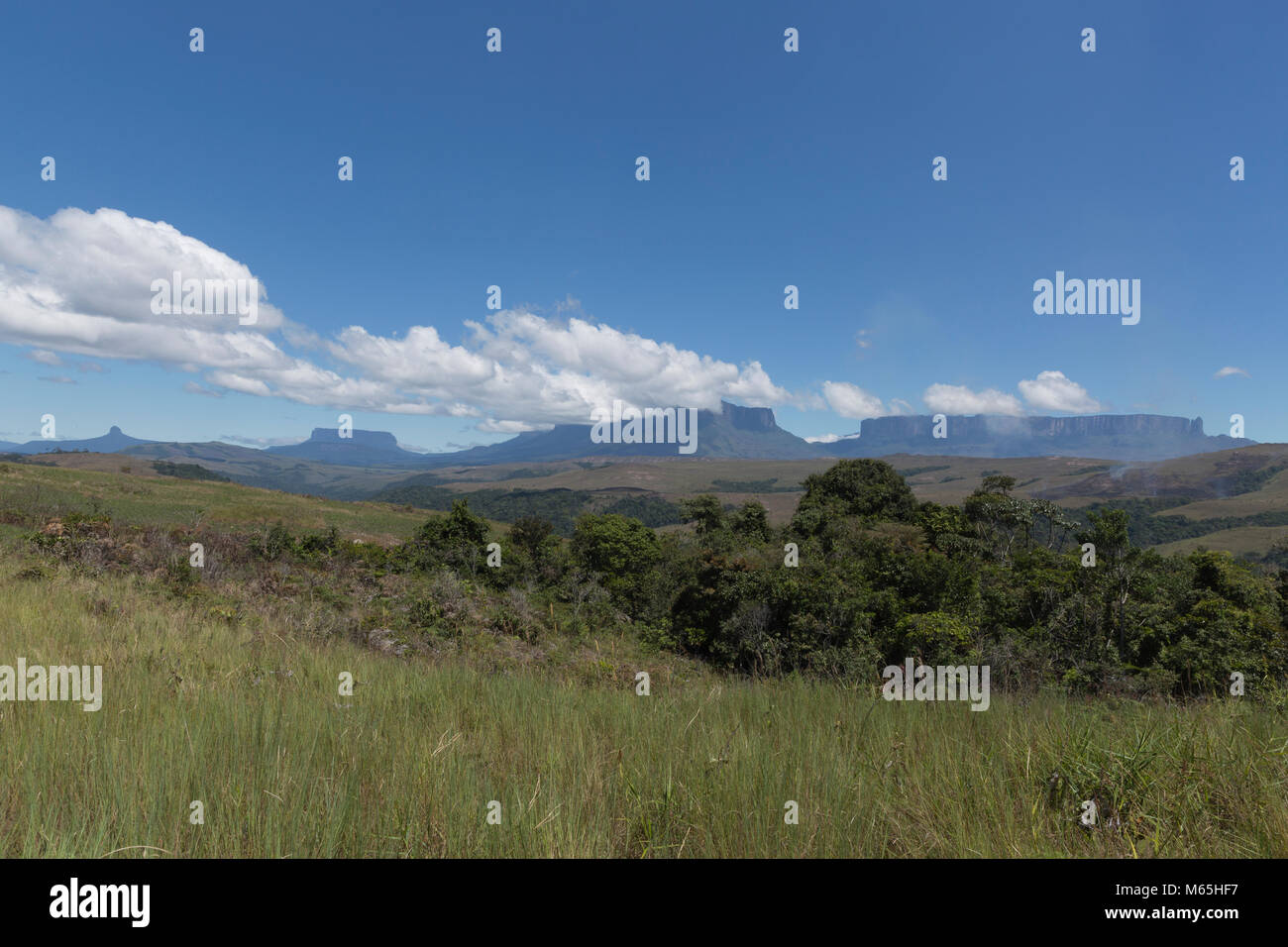 Gran Sabana in Venezuela, il Parco Nazionale di Canaima. Foto Stock