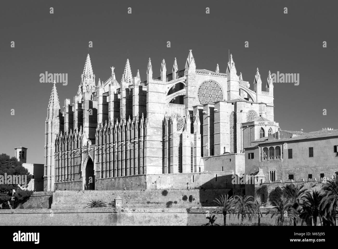 Cattedrale di Palma Foto Stock