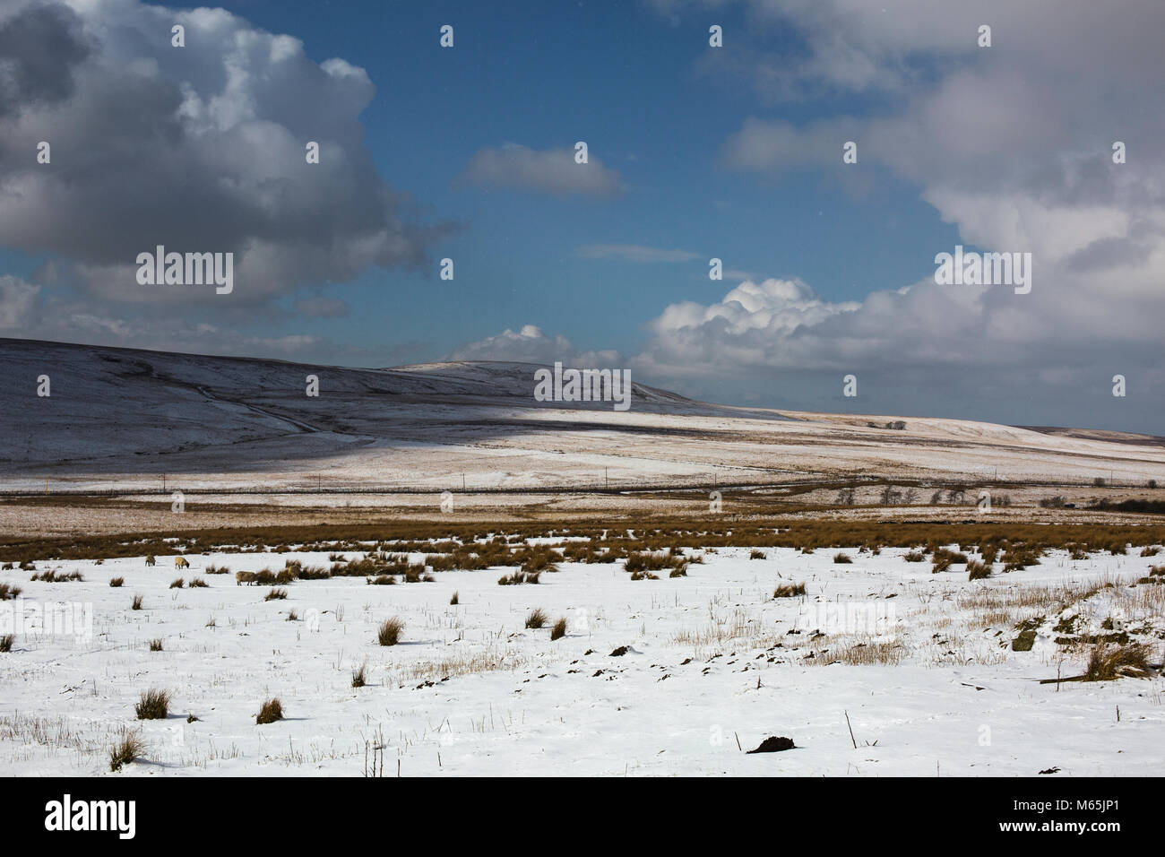 Darwen Moor e dintorni. Parte del West Pennine Moors siti di particolare interesse scientifico. Foto Stock