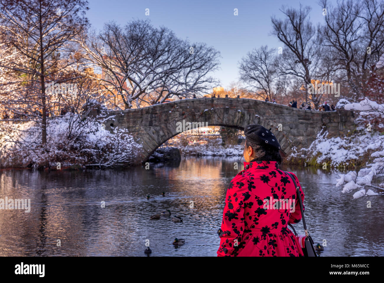 Una ragazza in piedi al lago di fronte al ponte Gapstow a Central Park a New York. I rami degli alberi coperte di neve bianca. Foto Stock