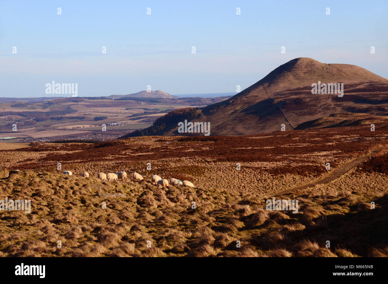Vista di Oriente Lomond hill in Fife con largo diritto nella distanza - parte di Lomond parco regionale.. Foto Stock