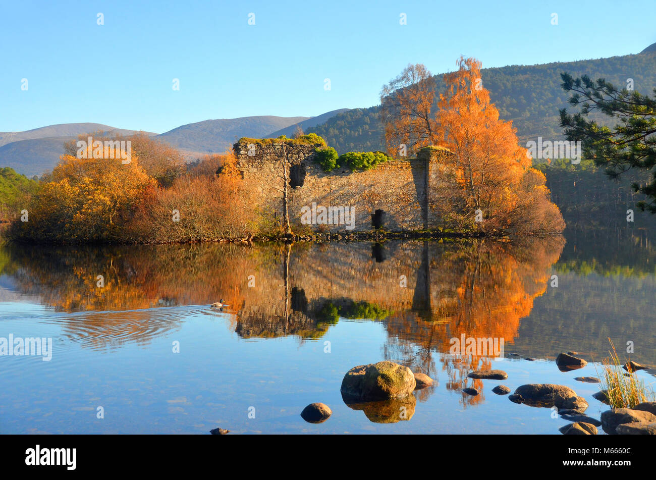 In autunno la riflessione del castello in rovina sul Loch un Eilean - Cairngorm national park, altopiani, Scozia. Foto Stock