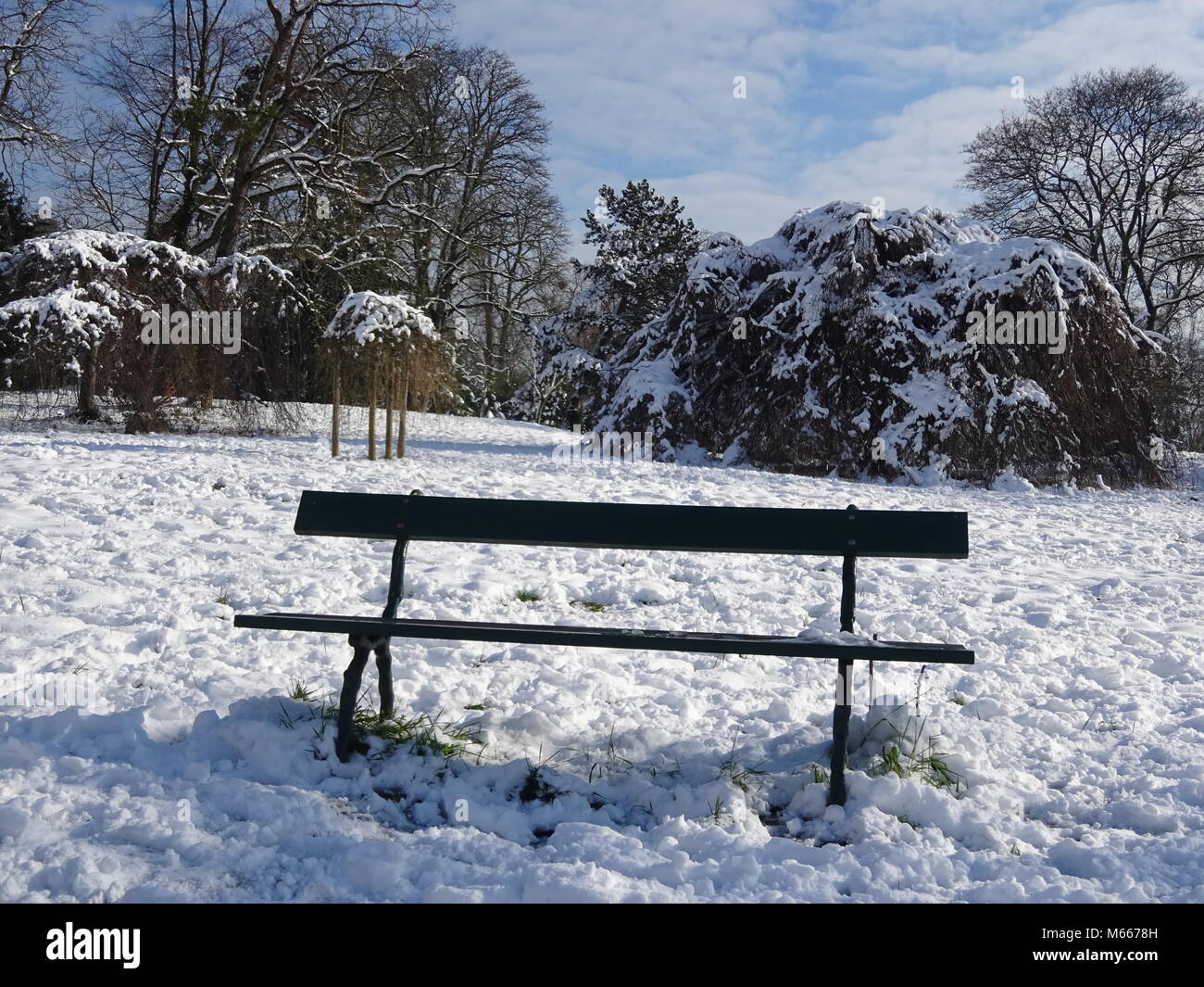 Tre migliori amici - la foresta, la neve e una panca in legno Foto Stock