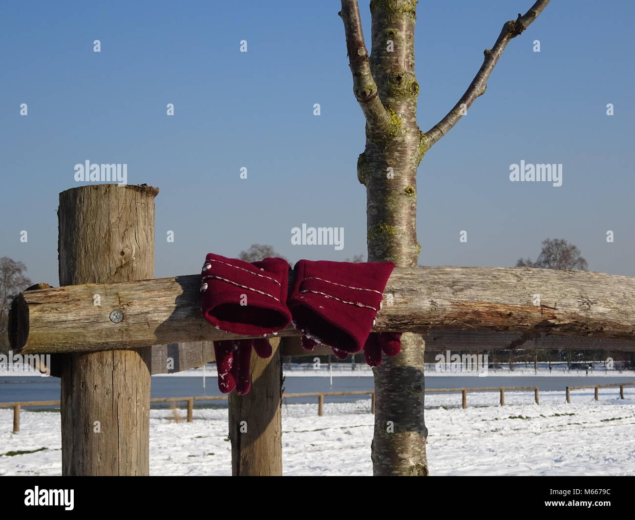 Onorevoli guanti appesi alla recinzione Foto Stock