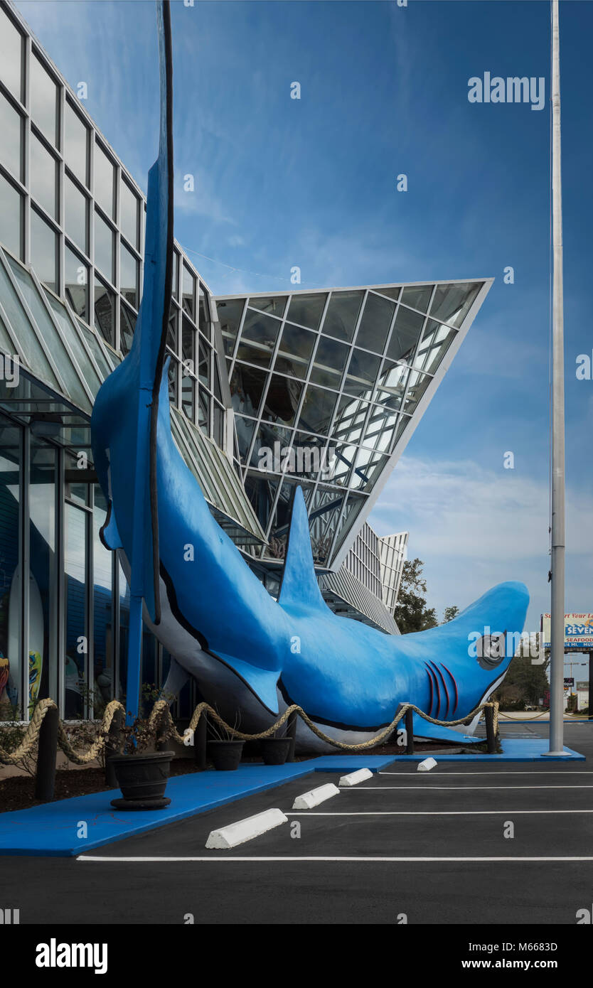 Una vista laterale di squalo themed beach shop in Myrtle Beach SC Foto Stock