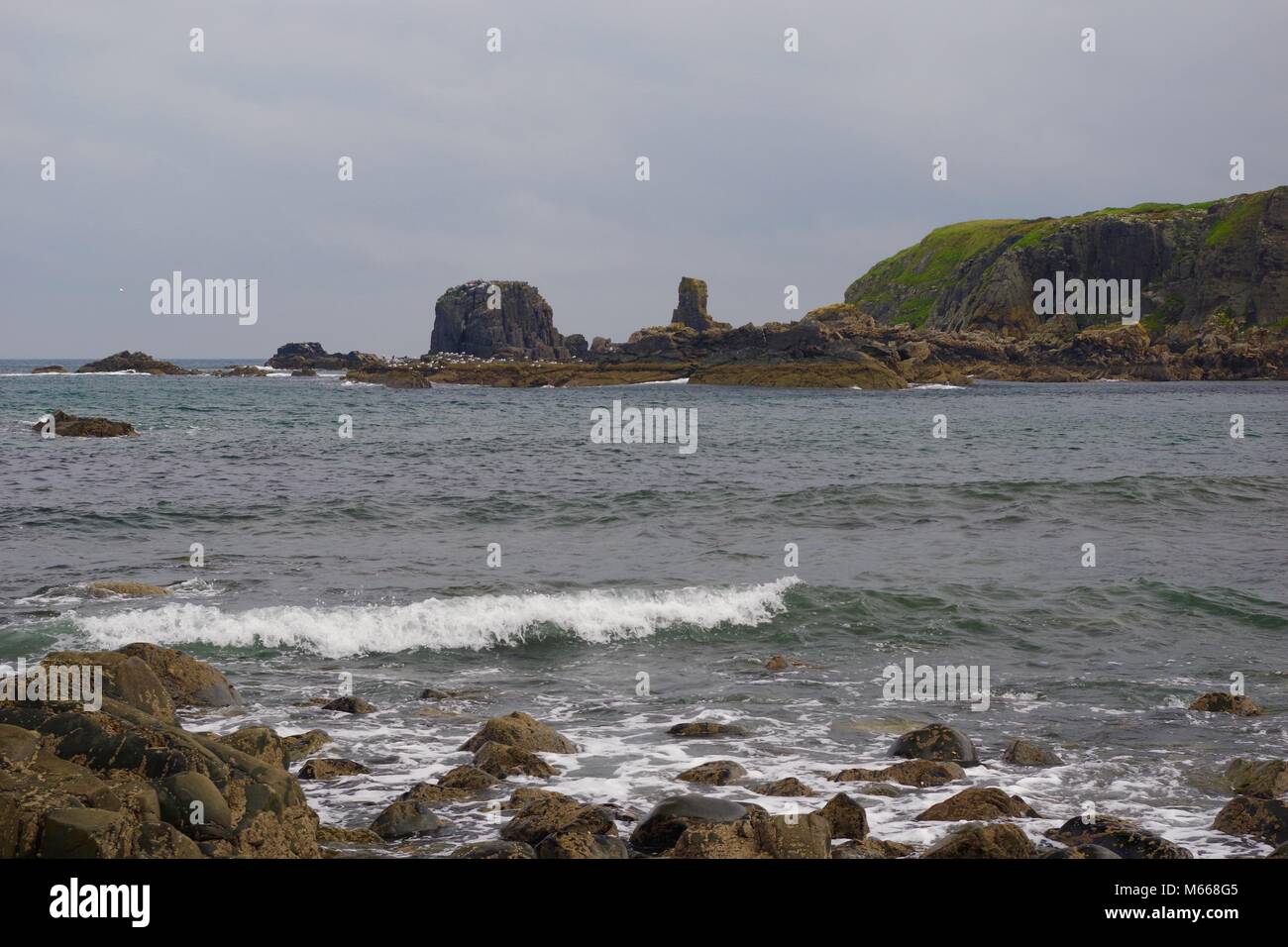 Rocce frastagliate coste Scotish Seascape. Macduff, Aberdeenshire, Regno Unito. In una Università Geologia Gita. Foto Stock