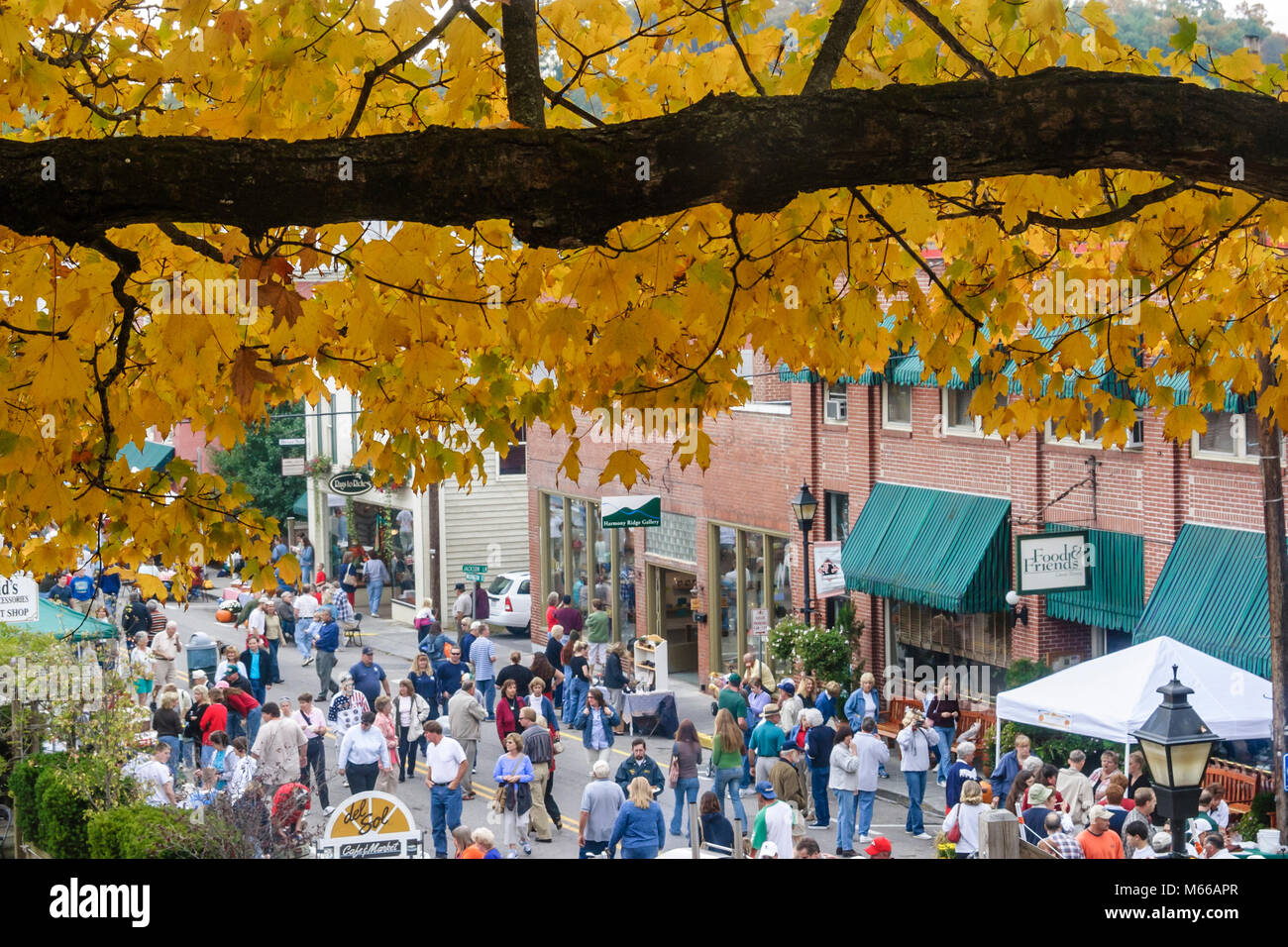 Lewisburg West Virginia, Appalachian Appalachia Allegheny Mountains, Washington Street, Taste of our Town, TOOT, Food Tasting Festival, festival, celebrati Foto Stock