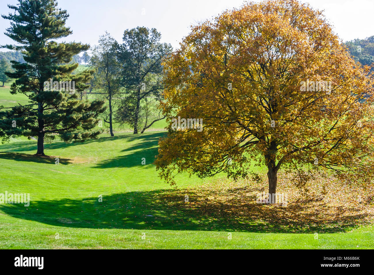 Lewisburg West Virginia, Appalachian Appalachia Allegheny Mountains, Elks Club Public Golf Course, sport, atleta, ricreazione, gioco, paesaggio, design, golf Foto Stock