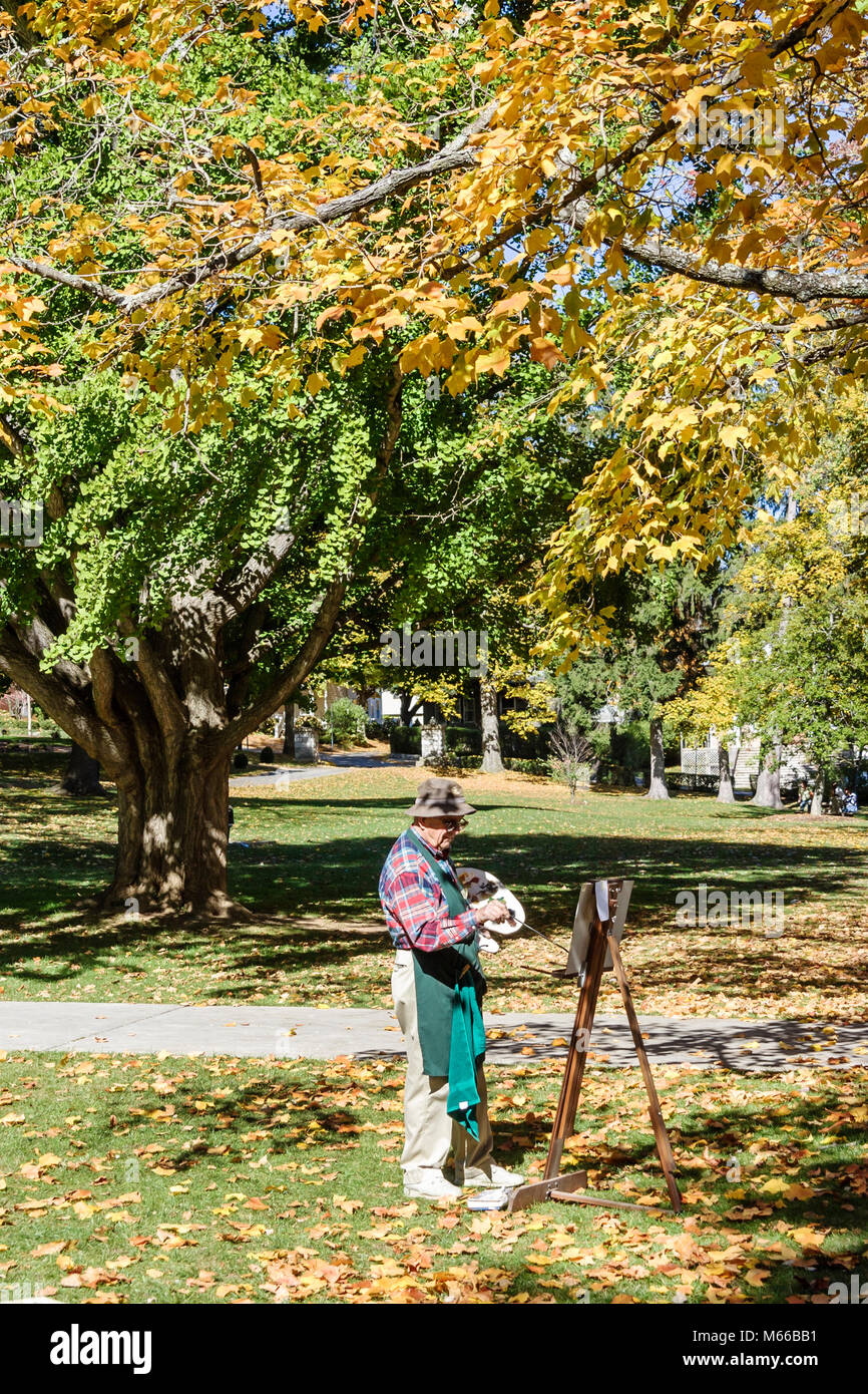 Lewisburg West Virginia, Appalachian Appalachia Allegheny Mountains, Carnegie Hall, corridoio, architettura georgiana Revival, costruito, costruito, 1902, culturale Foto Stock