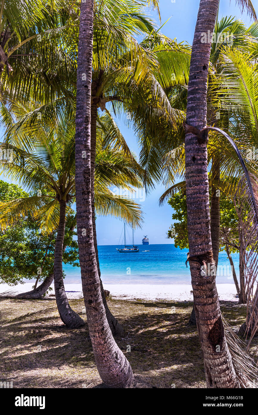 Spiaggia tropicale, Lifou, Nuova Caledonia, Francia Foto Stock