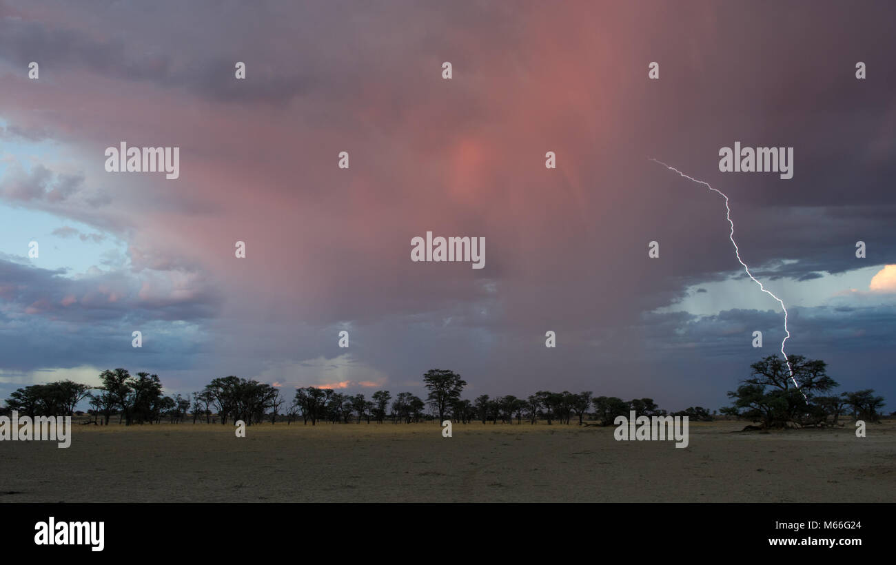 Temporale al tramonto, Sudafrica Foto Stock