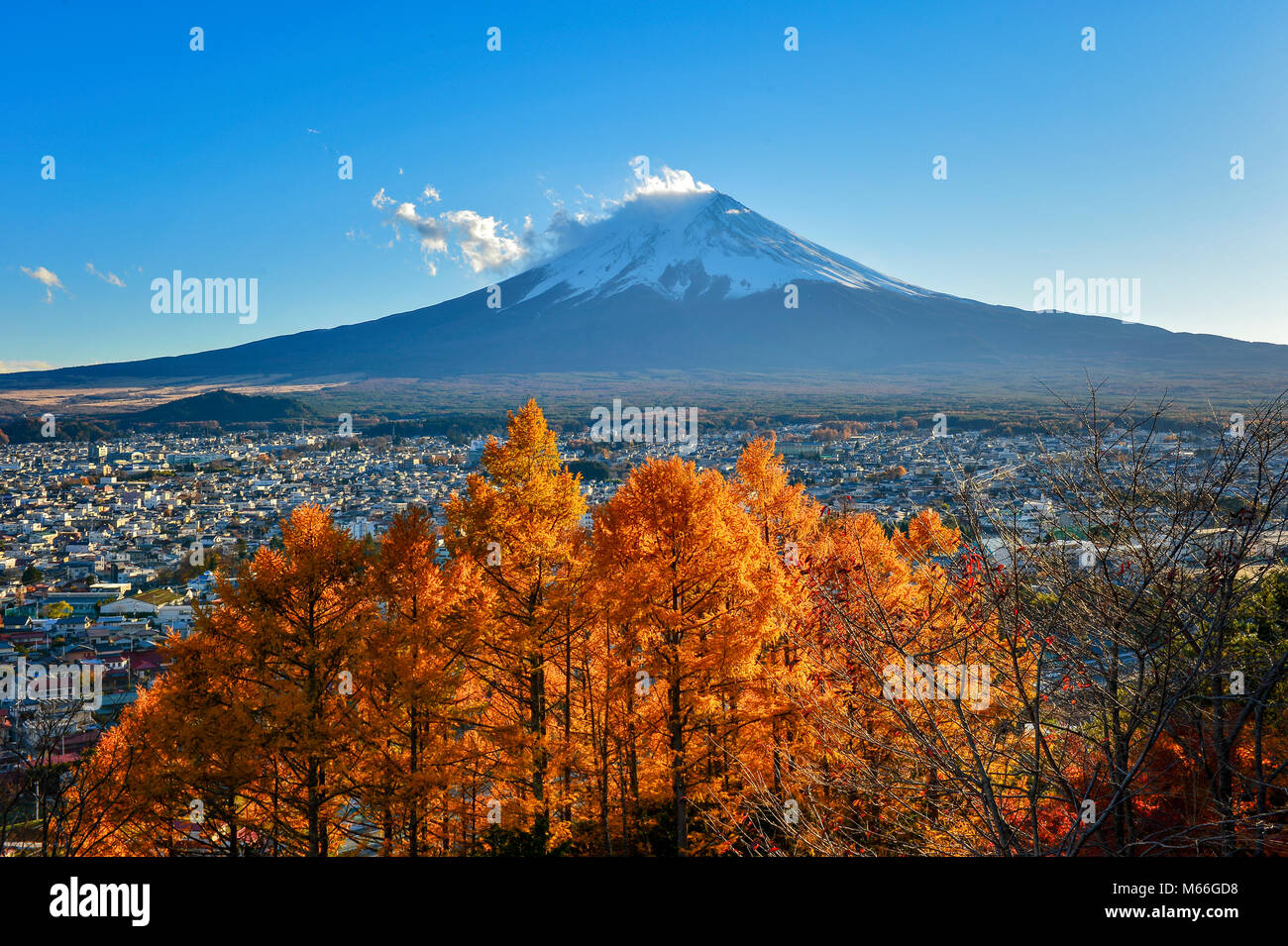 Monte Fuji in autunno, Fujiyoshida, Giappone Foto Stock