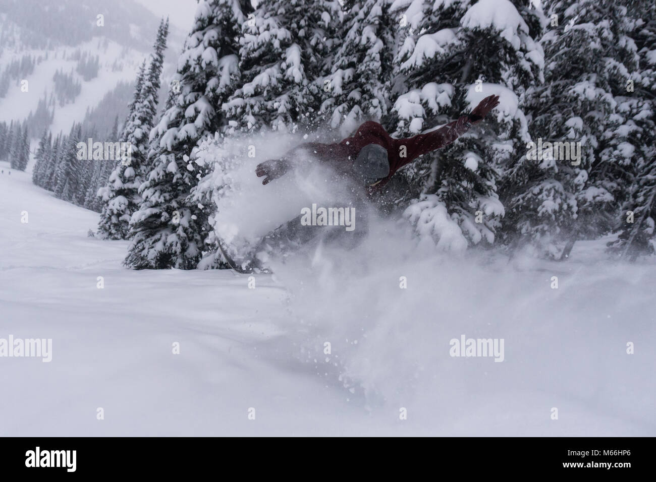 Snowboarder maschio equitazione polvere bianca neve in terreni estremi. Preso in Whitewater montagna sciistica, Nelson, British Columbia, Canada. Foto Stock