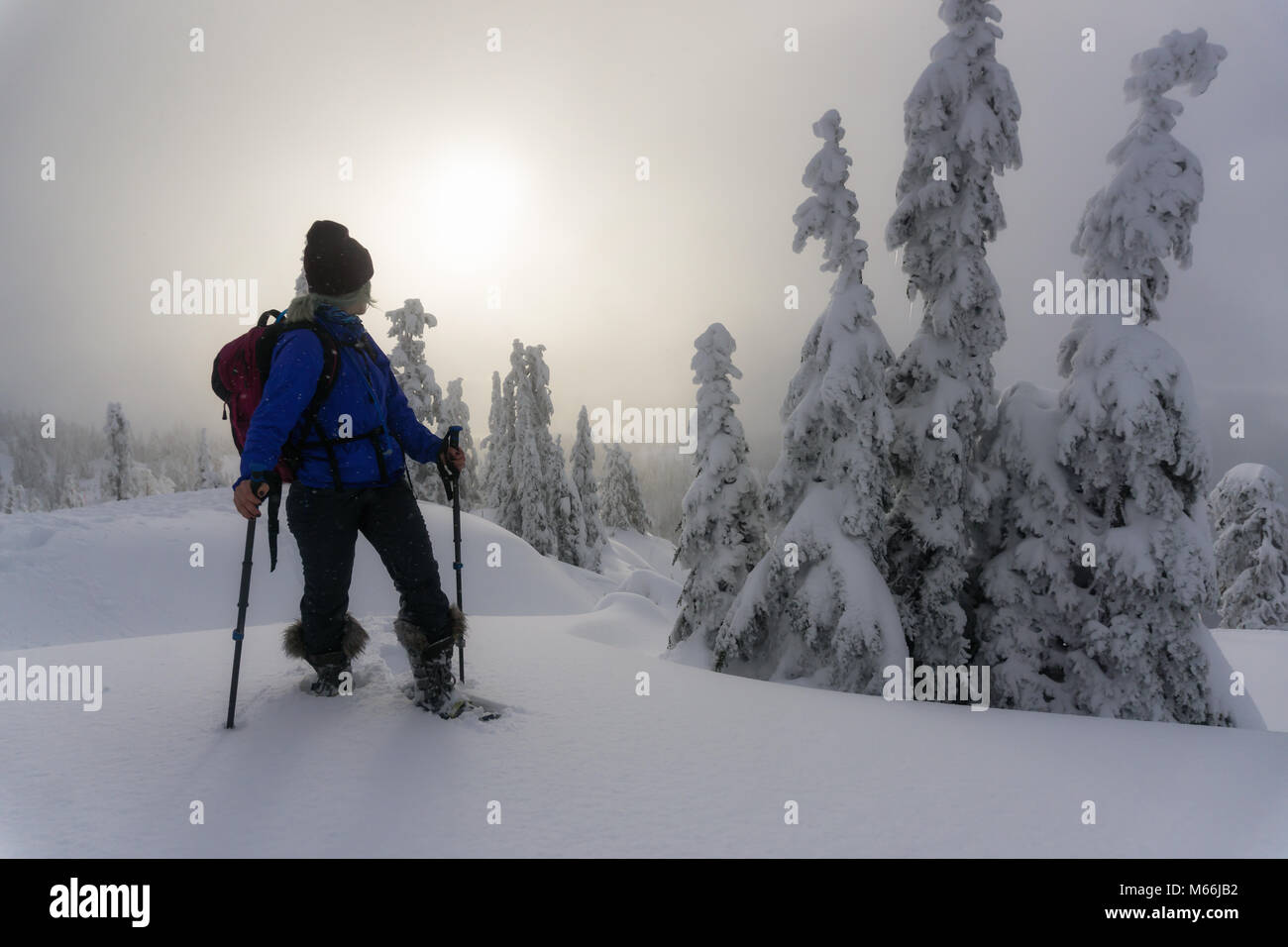 Giovani caucasici avventurosi donna è di fare escursioni con le racchette da neve nelle montagne coperte di neve. Preso in Seymour montagna, North Vancouver, British Columbia, Canad Foto Stock