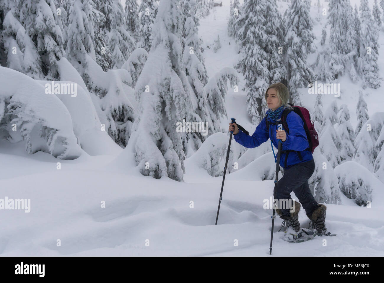 Giovani caucasici avventurosi donna è di fare escursioni con le racchette da neve nelle montagne coperte di neve. Preso in Seymour montagna, North Vancouver, British Columbia, Canad Foto Stock