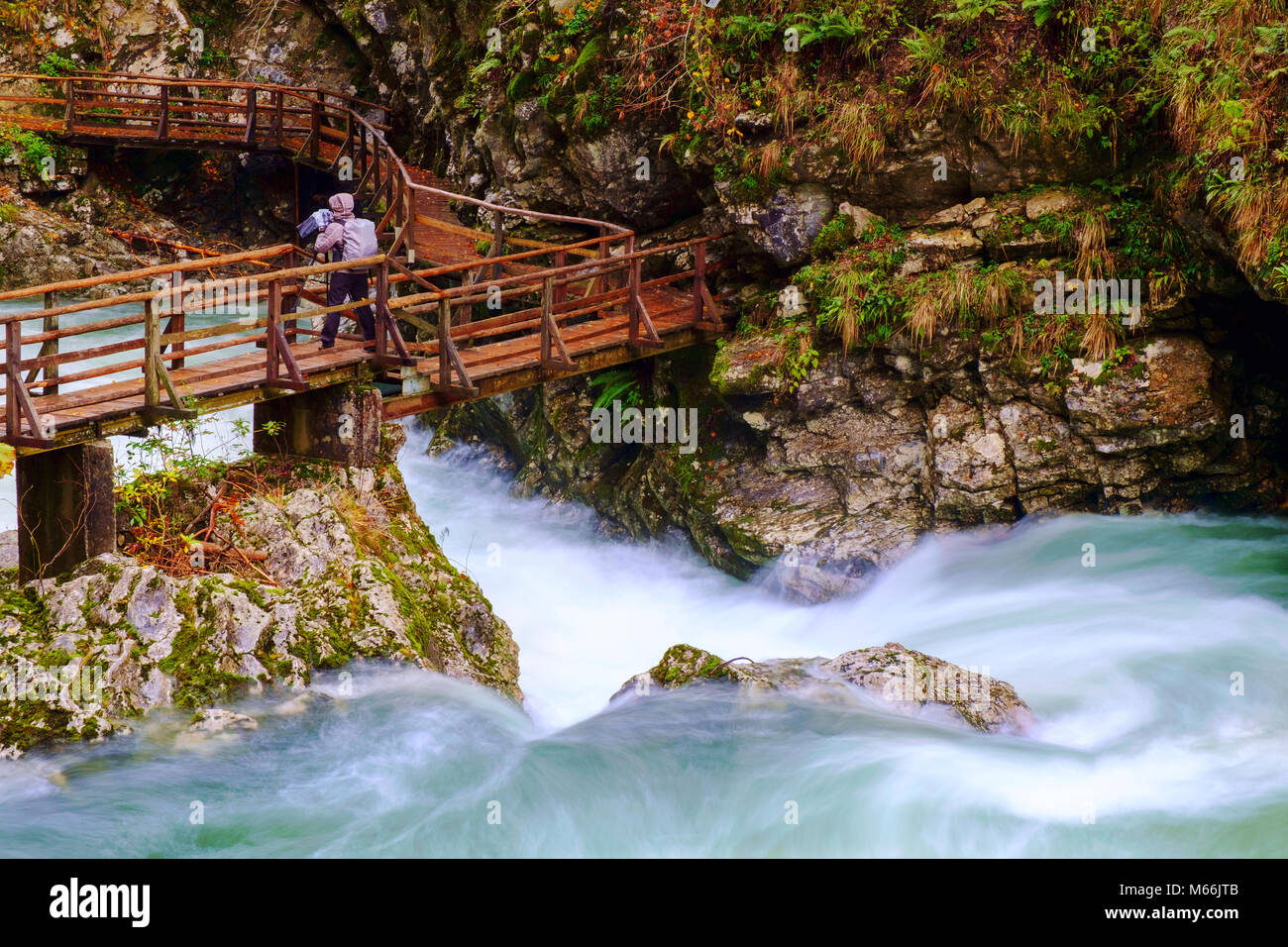 Splendida gola Gorge canyon al fiume curlicue e bellissimi colori autunnali e vicino al lago di Bled in Slovenia,l'Europa Foto Stock