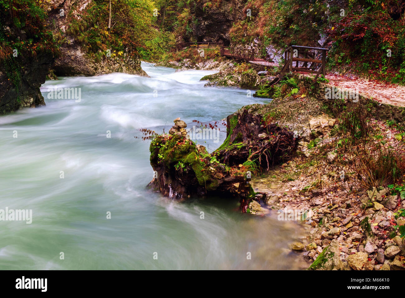 Splendida gola Gorge canyon al fiume curlicue e bellissimi colori autunnali e vicino al lago di Bled in Slovenia,l'Europa Foto Stock