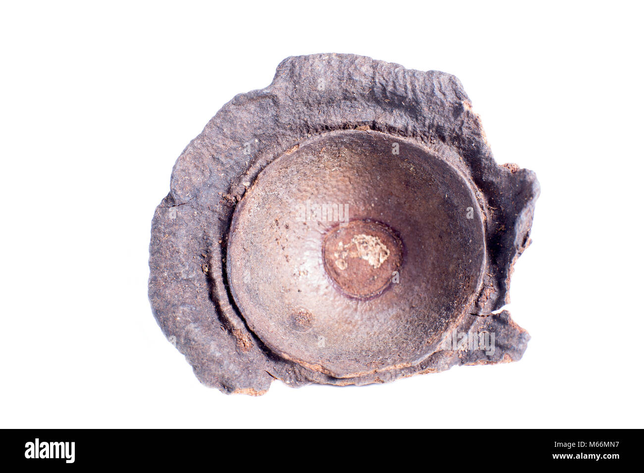 Ishpingo o cannella ecuadoriana tree flower closeup Foto Stock